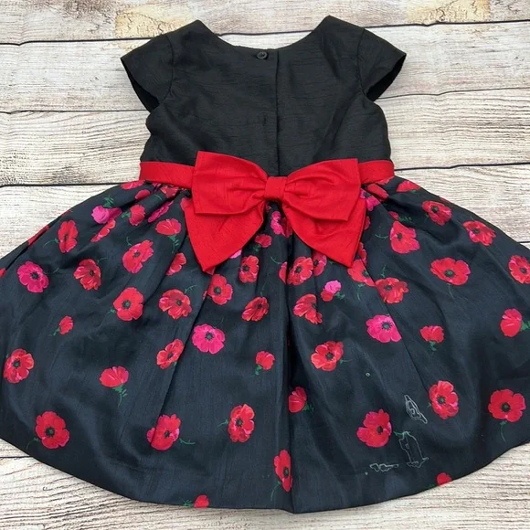 Gymboree Red and Black Poppy Taffeta Bow Back Dress Girls Size 5T - Picture 5 of 6